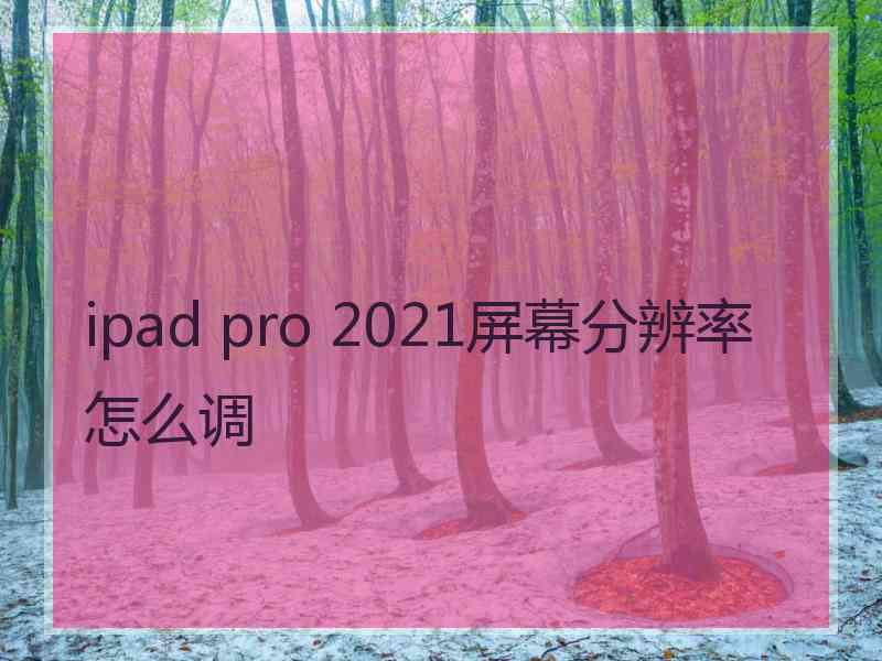 ipad pro 2021屏幕分辨率怎么调