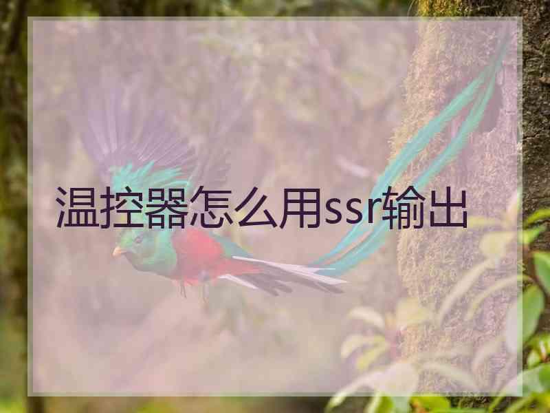 温控器怎么用ssr输出