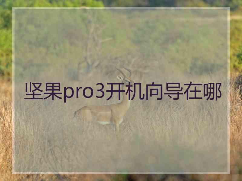 坚果pro3开机向导在哪