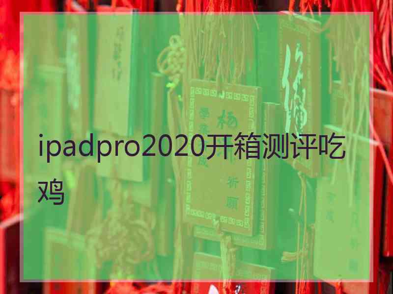 ipadpro2020开箱测评吃鸡