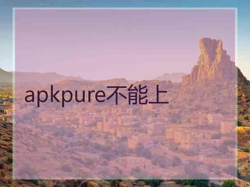 apkpure不能上