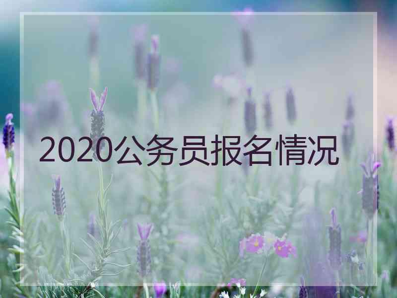 2020公务员报名情况