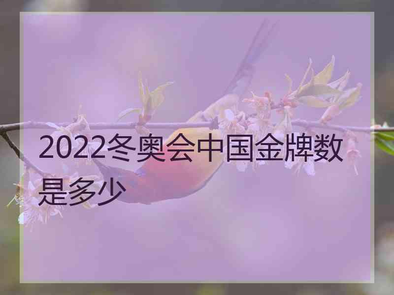 2022冬奥会中国金牌数是多少