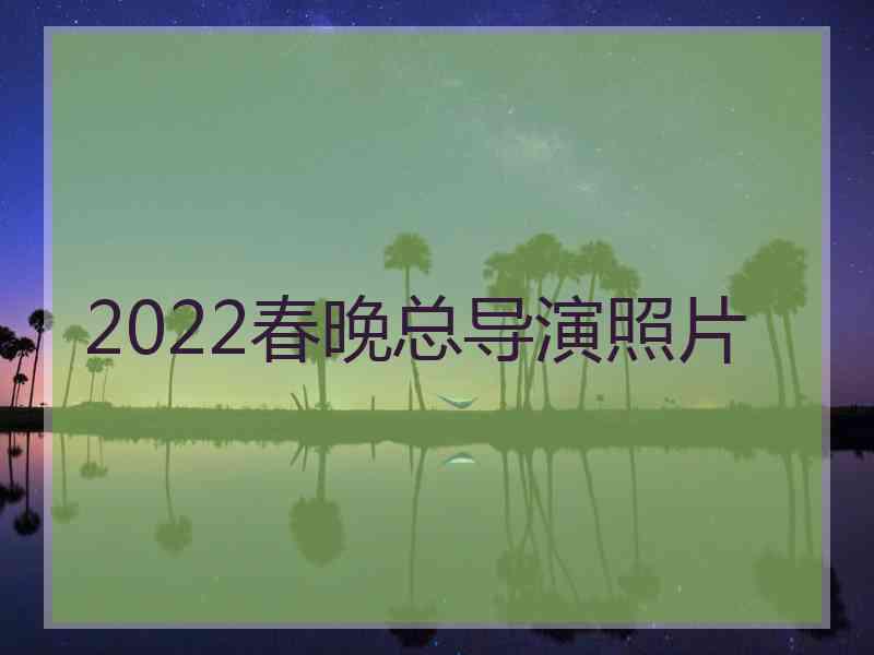 2022春晚总导演照片