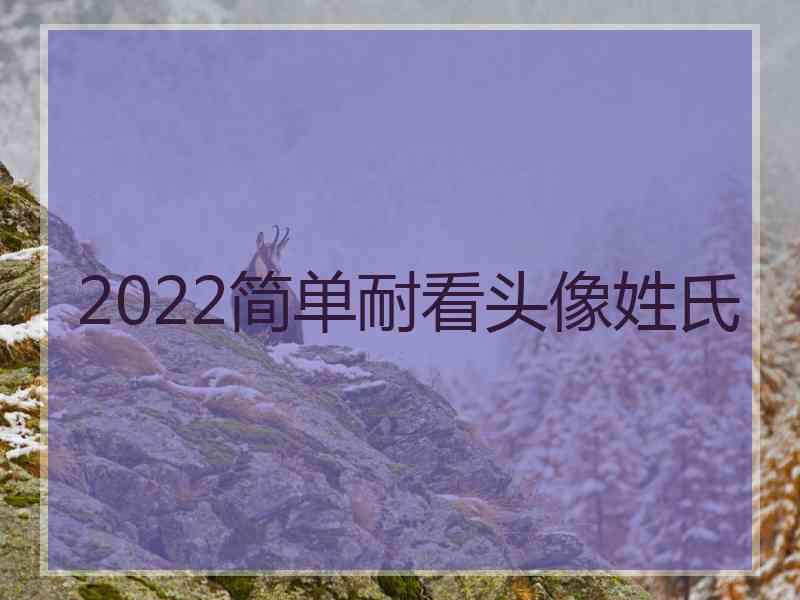 2022简单耐看头像姓氏