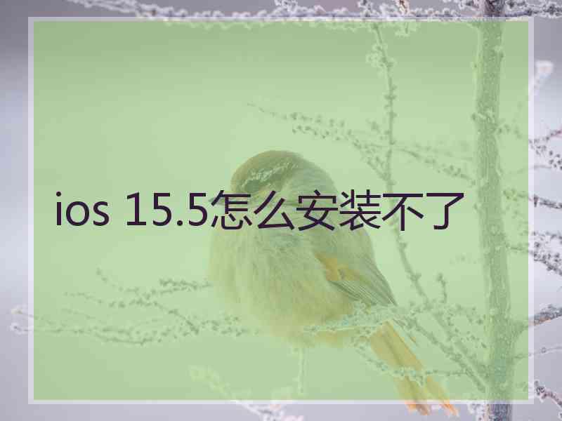 ios 15.5怎么安装不了