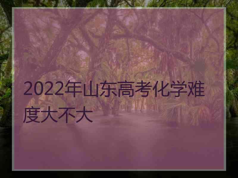 2022年山东高考化学难度大不大