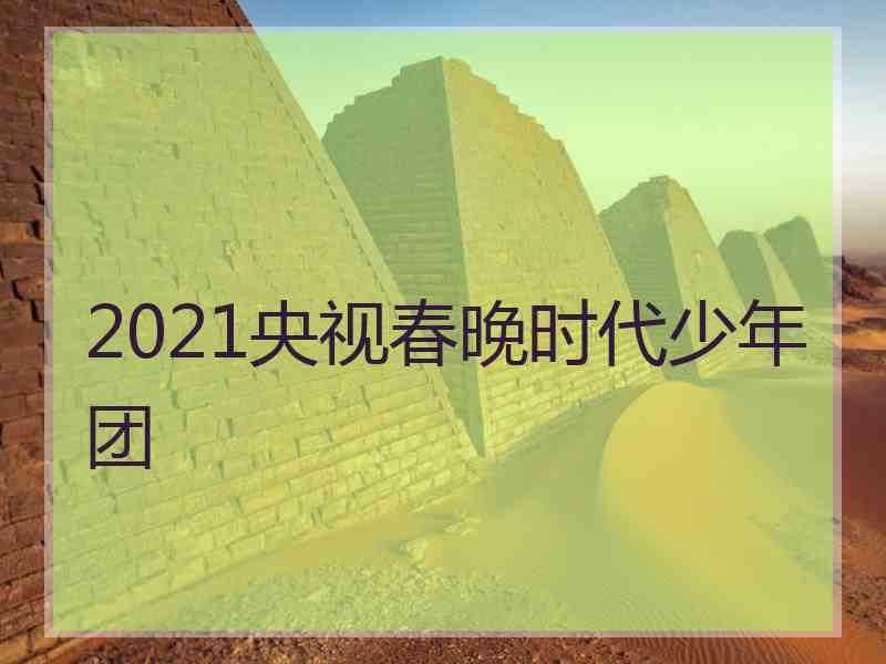 2021央视春晚时代少年团