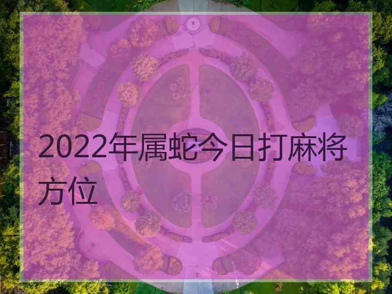 2022年属蛇今日打麻将方位