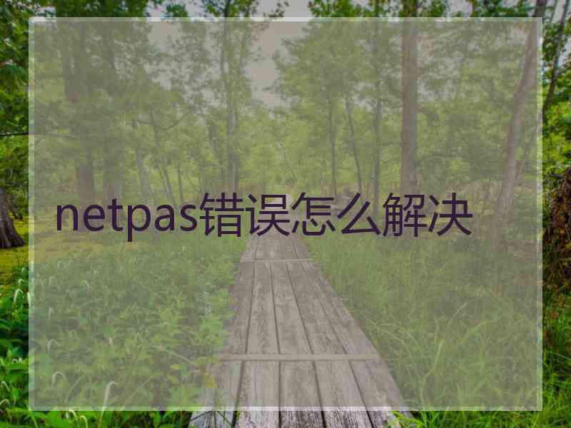 netpas错误怎么解决