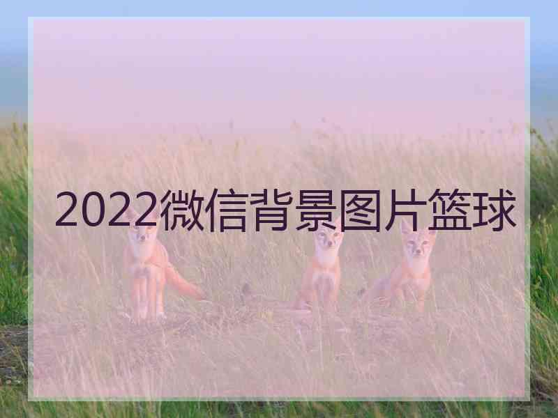 2022微信背景图片篮球