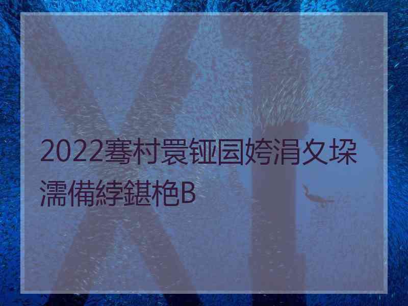 2022骞村睘铔囩姱涓夊垜濡備綍鍖栬В