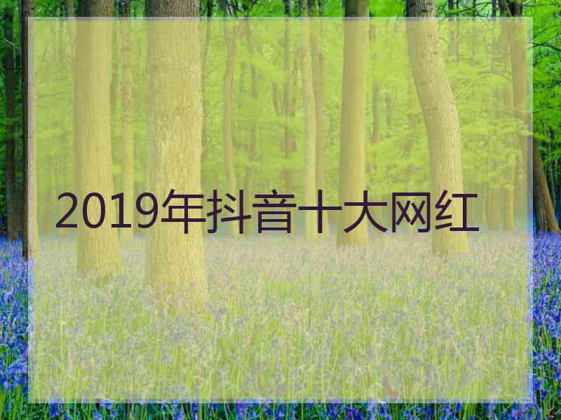 2019年抖音十大网红