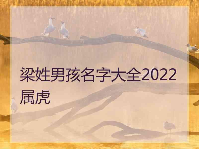 梁姓男孩名字大全2022属虎