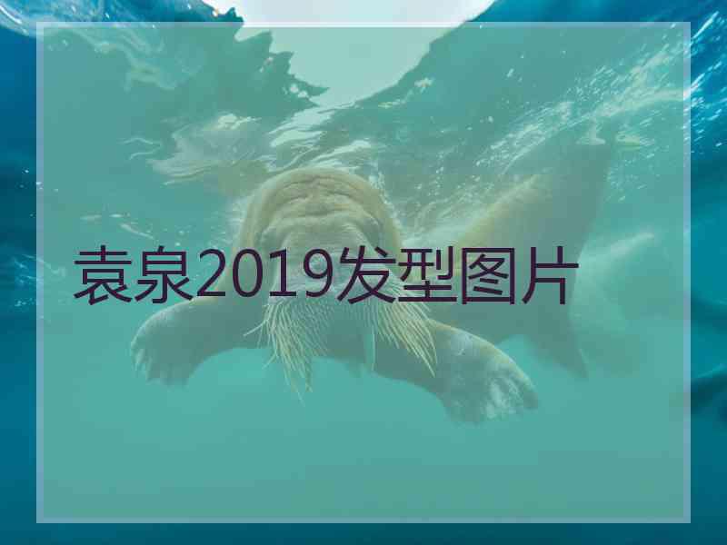 袁泉2019发型图片