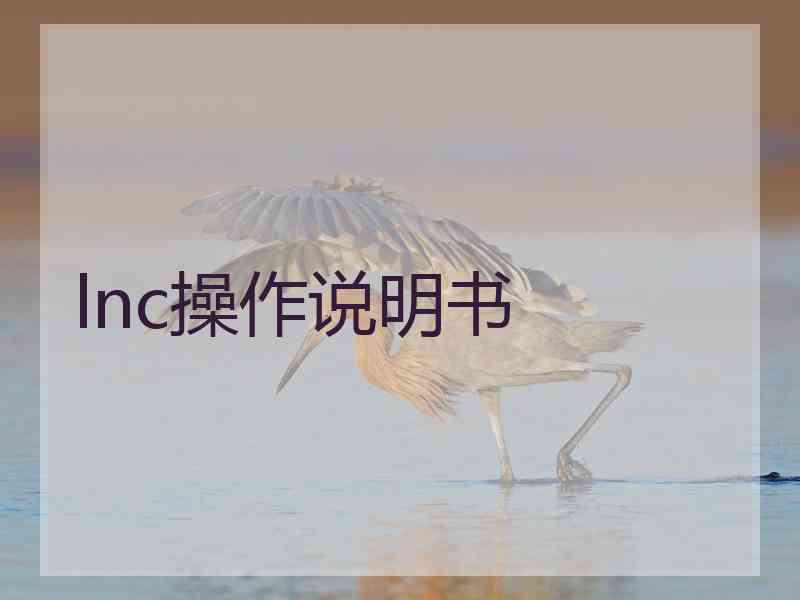 lnc操作说明书