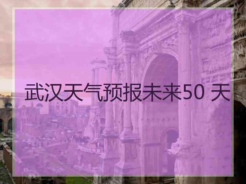 武汉天气预报未来50 天