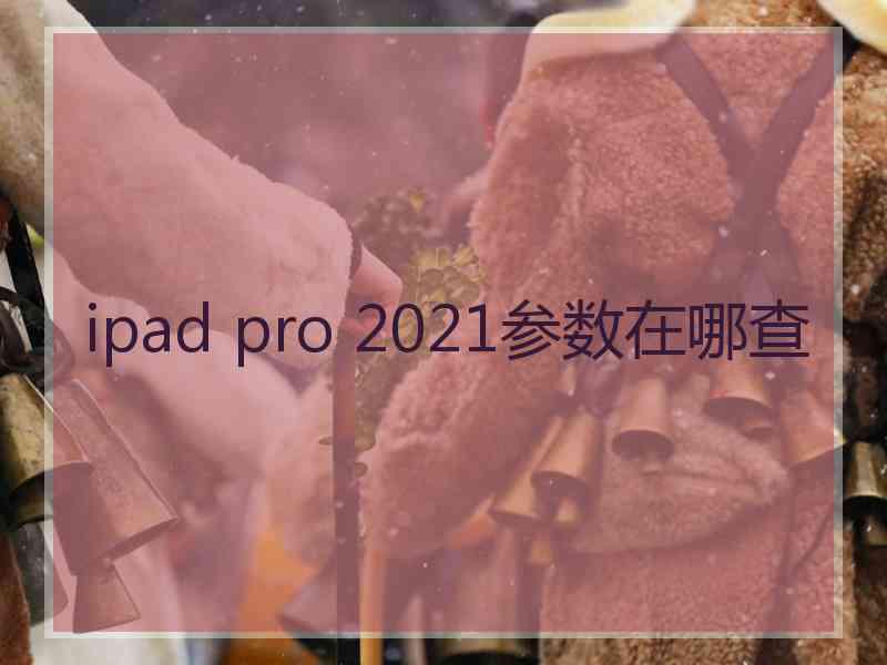 ipad pro 2021参数在哪查