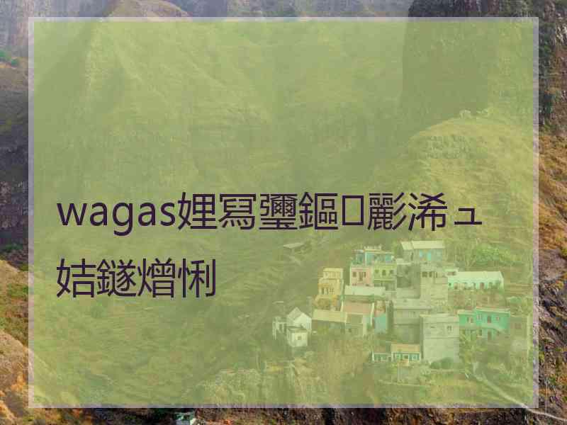 wagas娌冩瓕鏂彲浠ュ姞鐩熷悧