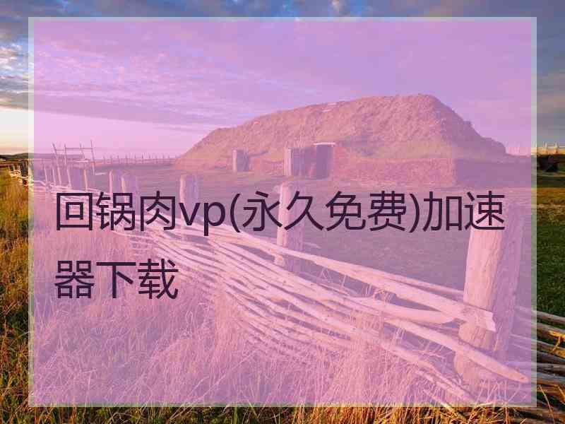 回锅肉vp(永久免费)加速器下载