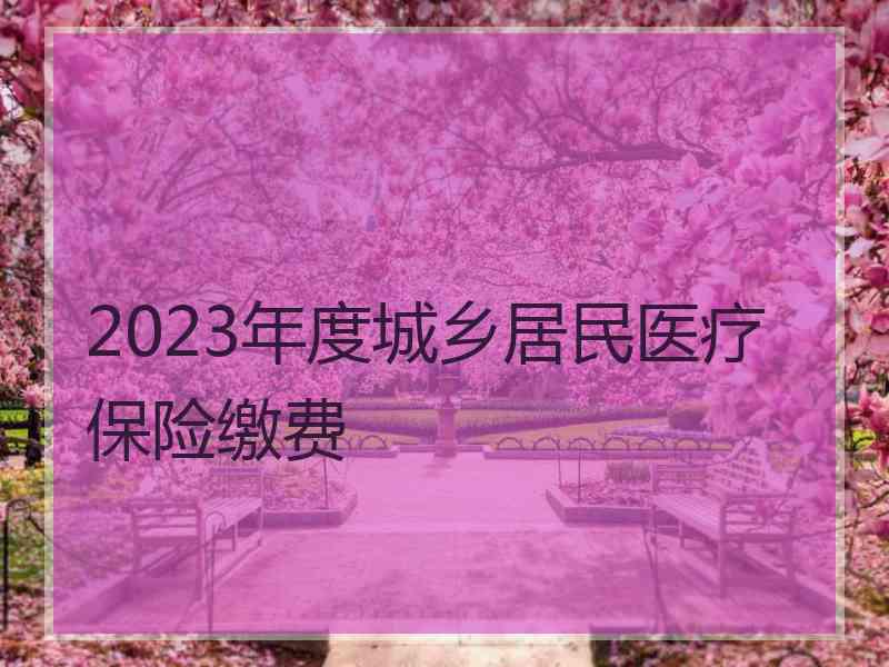 2023年度城乡居民医疗保险缴费