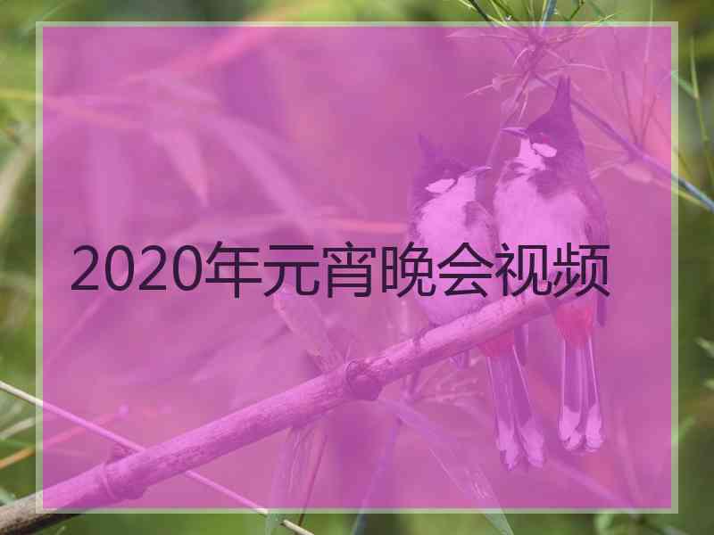 2020年元宵晚会视频