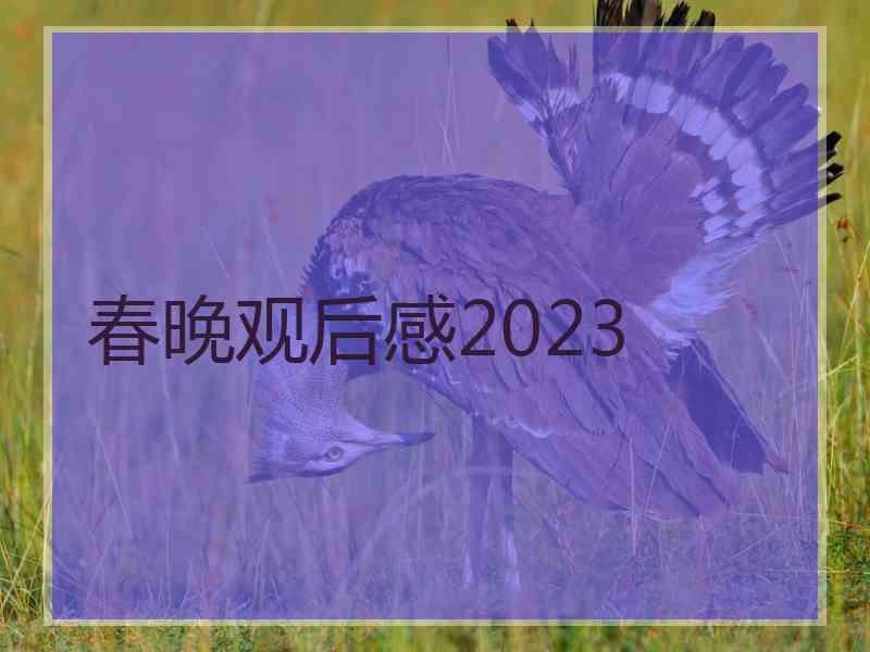 春晚观后感2023