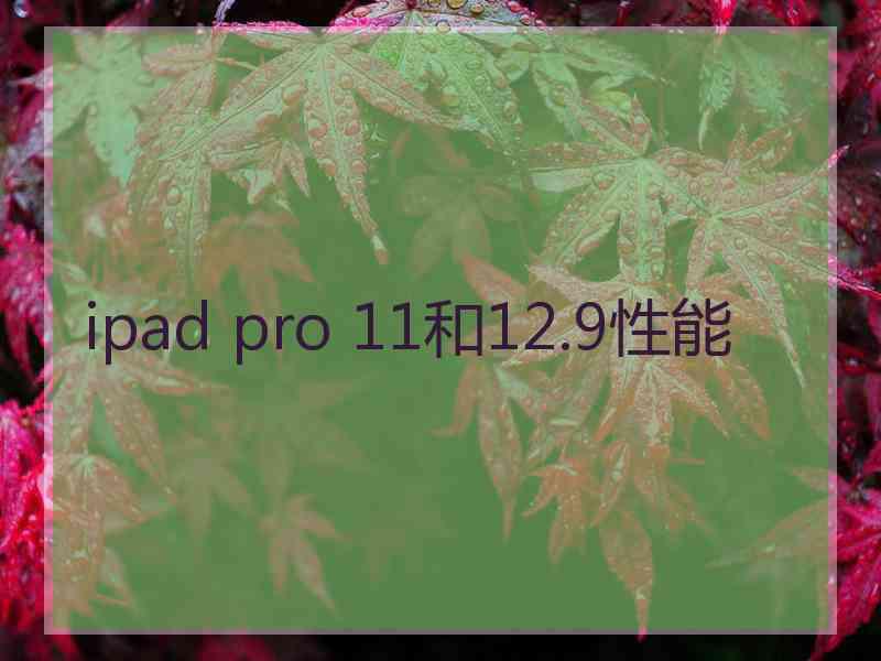 ipad pro 11和12.9性能