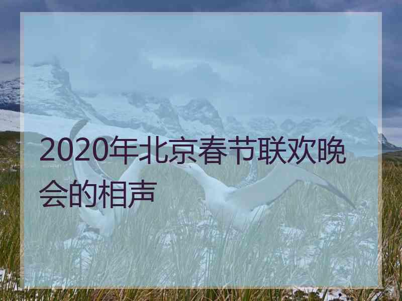 2020年北京春节联欢晚会的相声