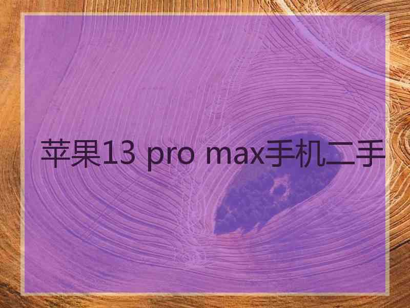 苹果13 pro max手机二手