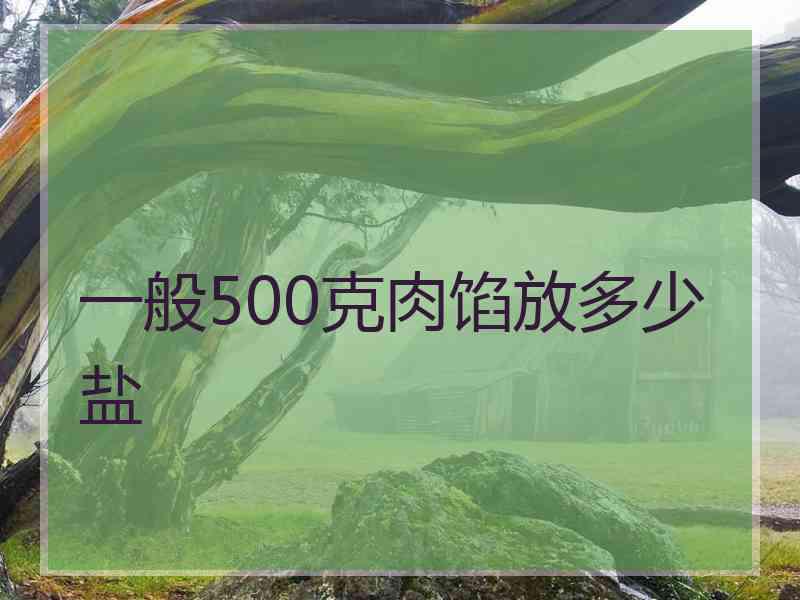 一般500克肉馅放多少盐