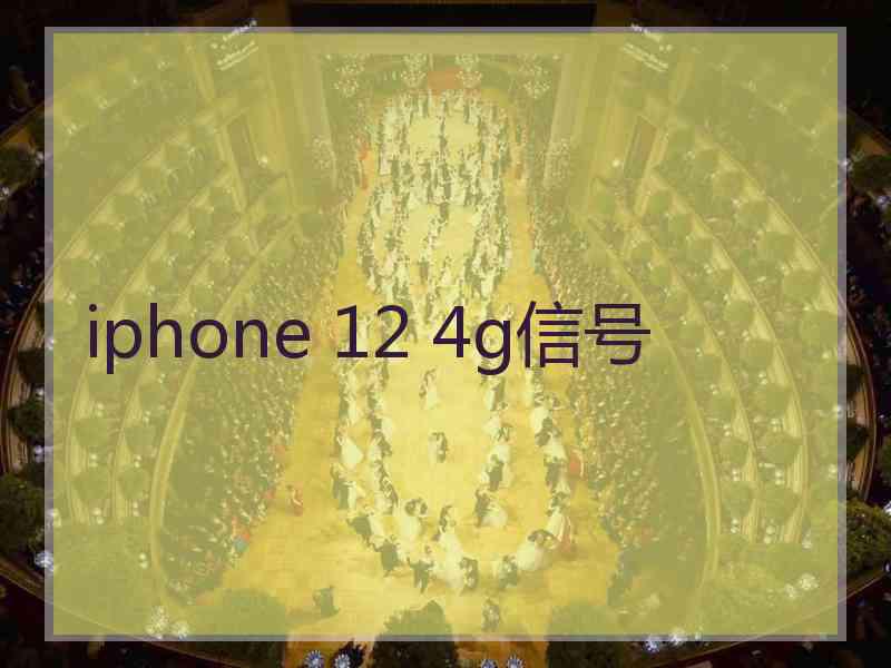 iphone 12 4g信号