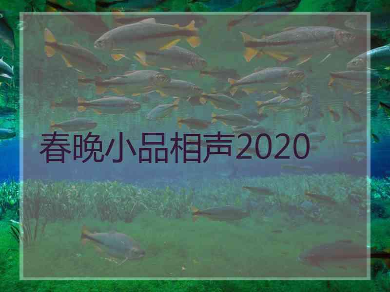 春晚小品相声2020