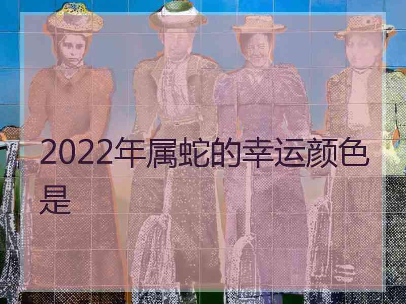 2022年属蛇的幸运颜色是