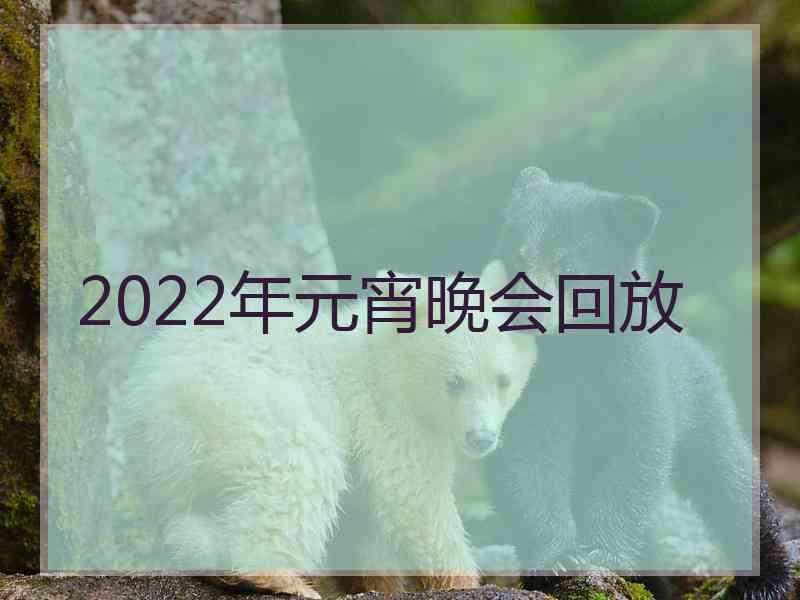 2022年元宵晚会回放