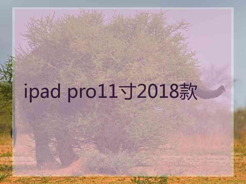 ipad pro11寸2018款