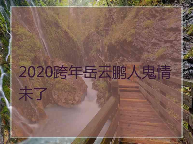 2020跨年岳云鹏人鬼情未了