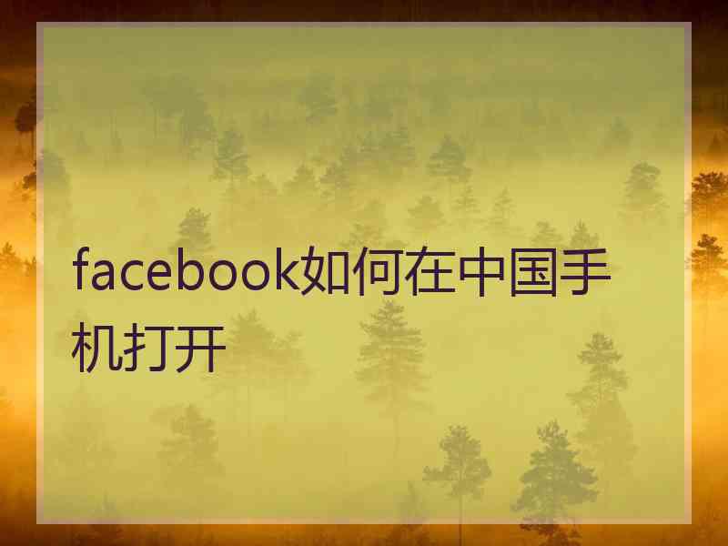 facebook如何在中国手机打开