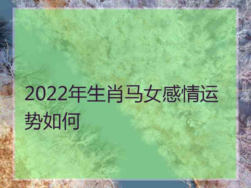 2022年生肖马女感情运势如何