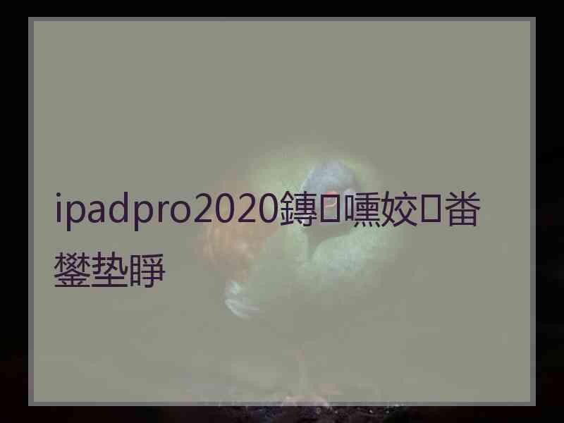 ipadpro2020鏄嚑姣畨鐢垫睜