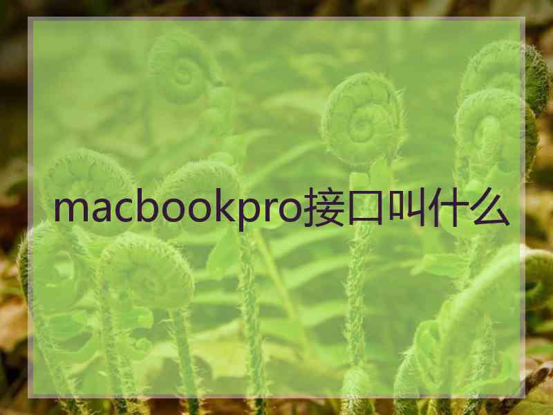 macbookpro接口叫什么