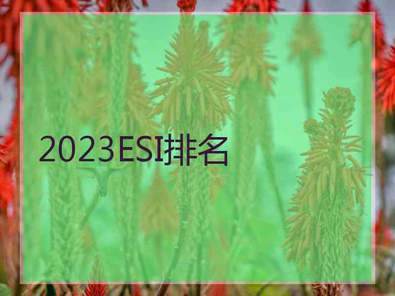 2023ESI排名