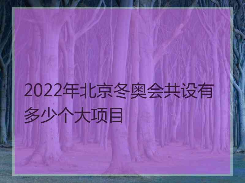 2022年北京冬奥会共设有多少个大项目