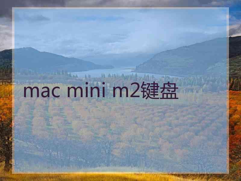 mac mini m2键盘