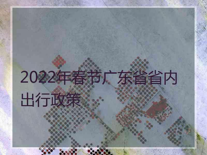 2022年春节广东省省内出行政策