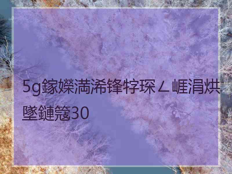 5g鎵嬫満浠锋牸琛ㄥ崕涓烘墜鏈簆30