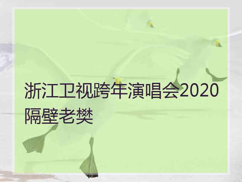 浙江卫视跨年演唱会2020隔壁老樊