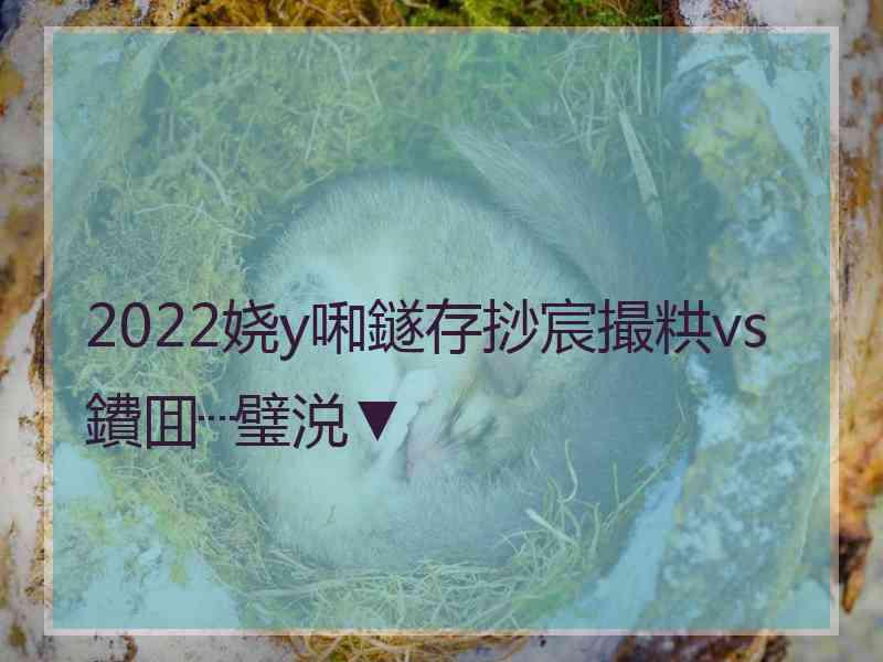 2022娆у啝鐩存挱宸撮粠vs鐨囬┈璧涚▼