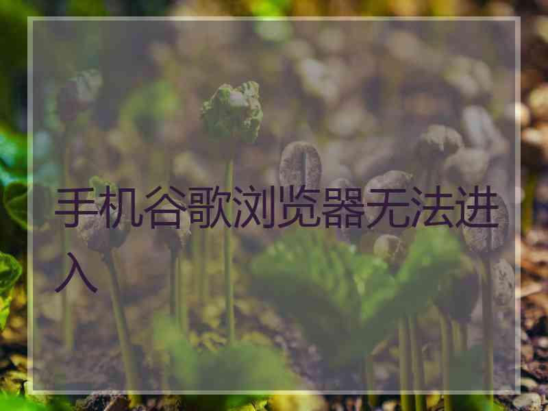 手机谷歌浏览器无法进入