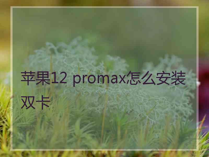 苹果12 promax怎么安装双卡